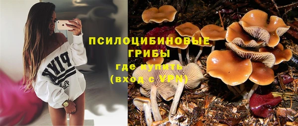 2c-b Володарск
