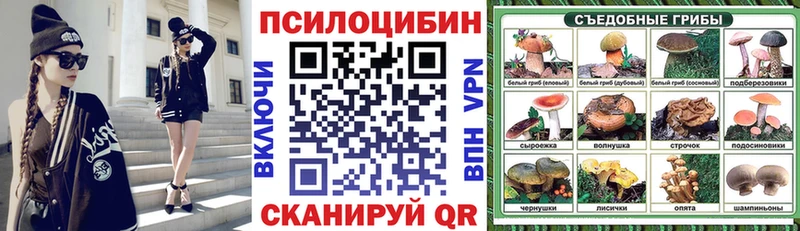 omg ссылка  Камышлов  Галлюциногенные грибы мухоморы 